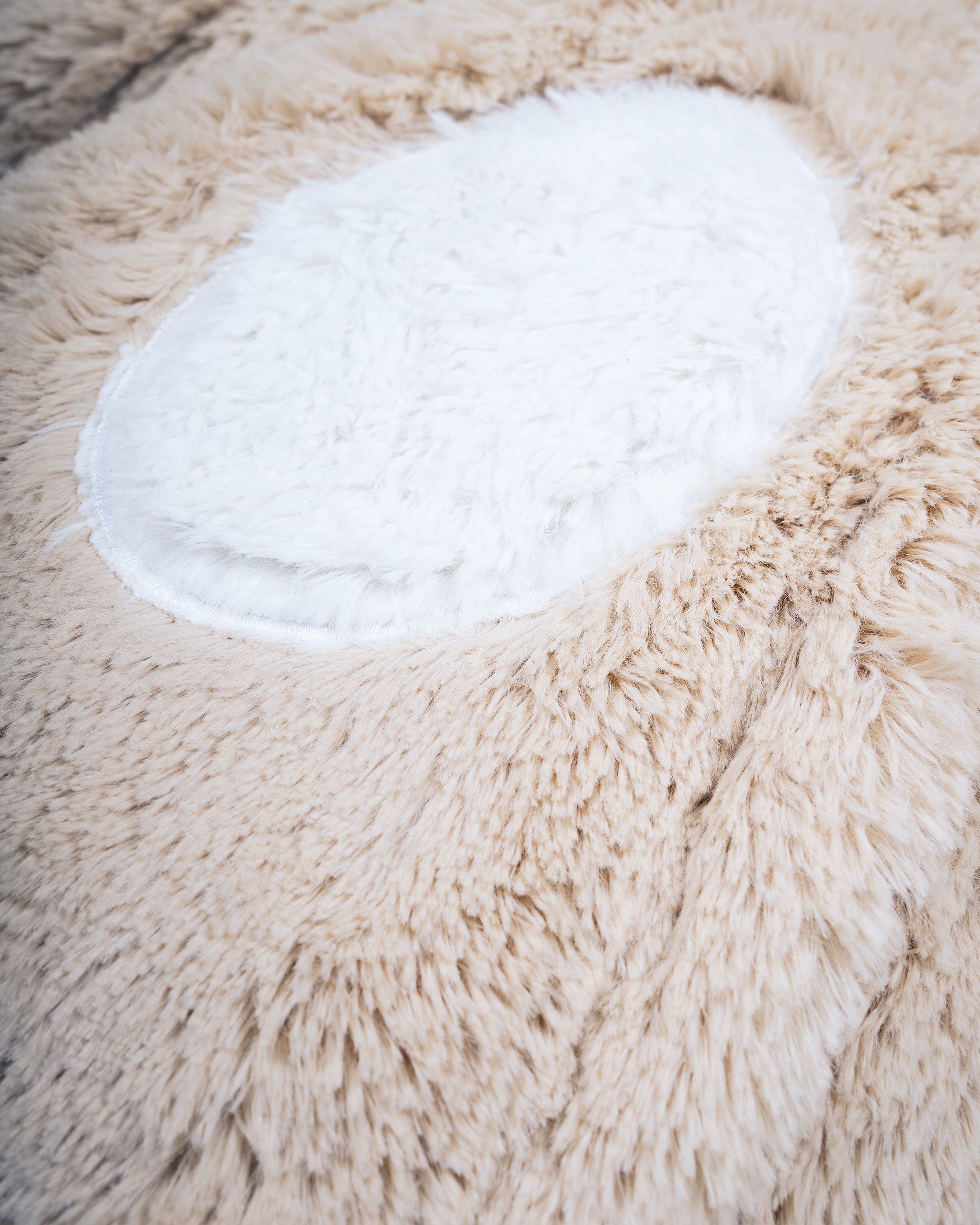 Boys Furry Bear Snowsuit